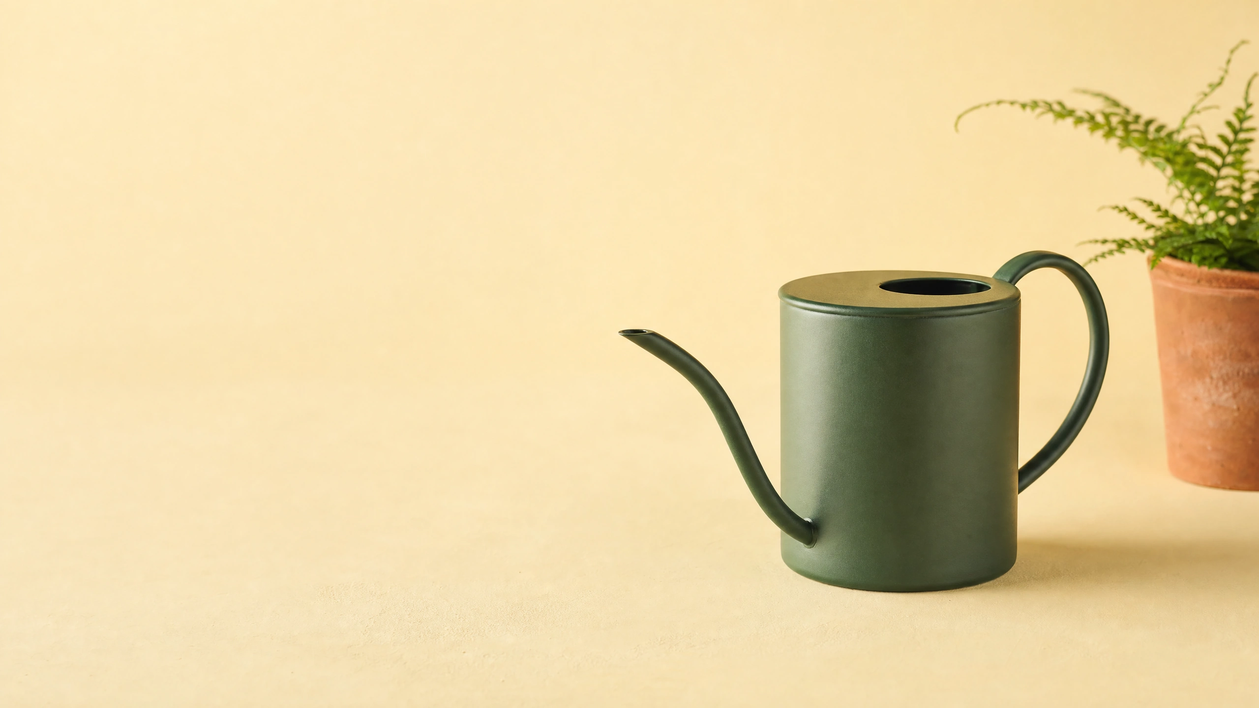 Green watering can and fern on the right of a pale yellow background with open space on the left